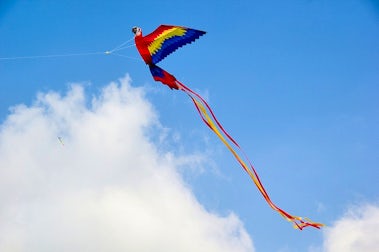 Burnham-on-Sea Kite Festival | John Fowler Somerset Holiday Parks