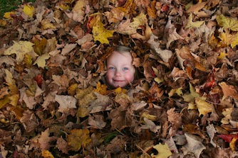 Autumn Leaves | Top 10 Autumn Bucket List Activities