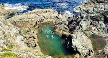 Polperro | Top 5 Tidal Pools In Cornwall