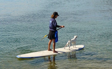 Stand Up Paddleboarding | Dog Friendly Water Sports