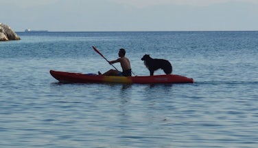 Kayaking | Dog Friendly Water Sports